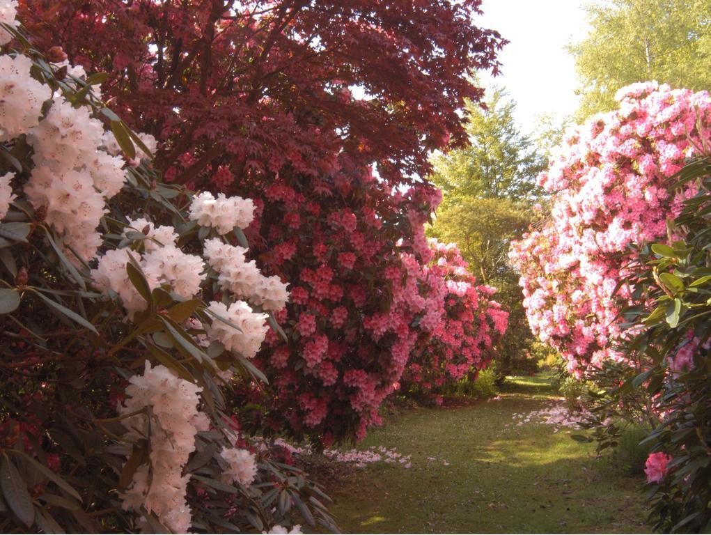 Muncaster Castle Coachman'S Quarters Bed & Breakfast Ravenglass Eksteriør bilde